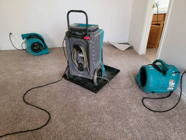 Best Fire Damage Restoration  in Harlan, IN