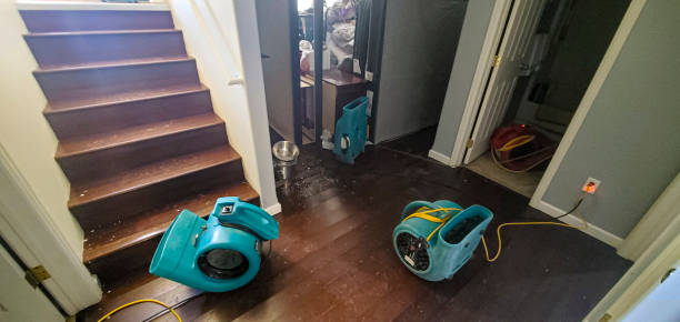 Best Flood damage cleanup  in Harlan, IN