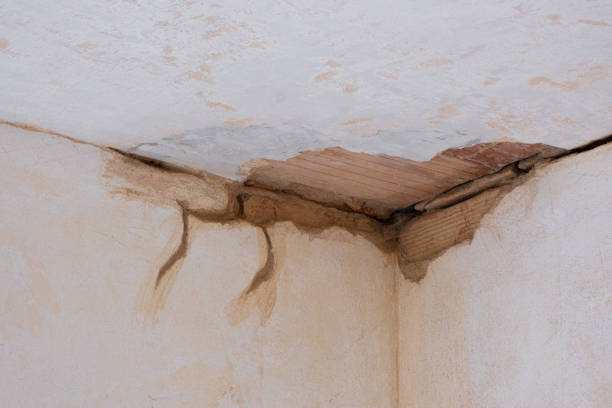 Best Ceiling water damage repair  in Harlan, IN
