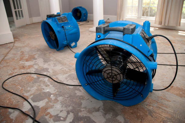 Best Water damage restoration services  in Harlan, IN