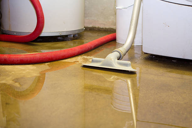 Best Water damage restoration services  in Harlan, IN