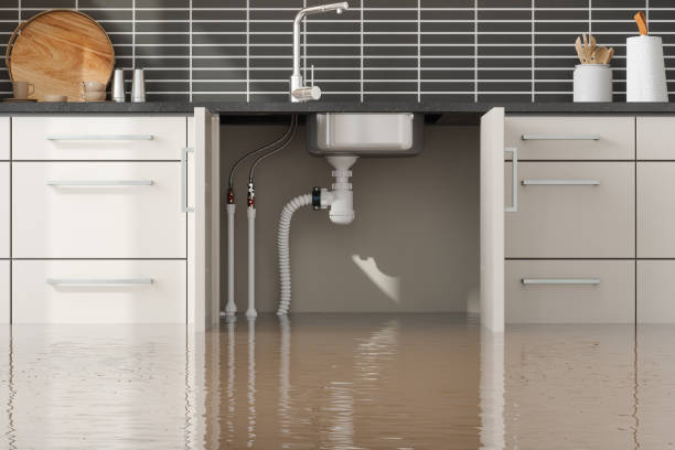 Best Flood restoration services  in Harlan, IN